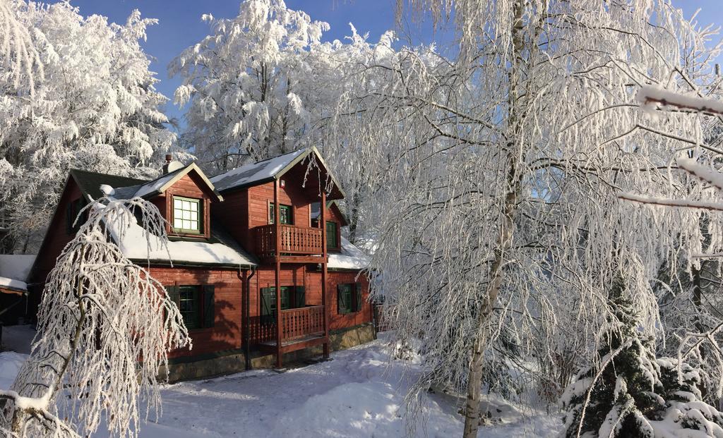 Bukowy Zdroj Villa Krynica Zdroj Exterior photo